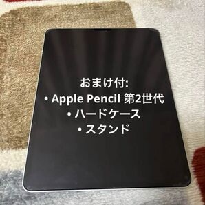 iPad Pro 2021 12.9インチ (第5世代) 1TB
