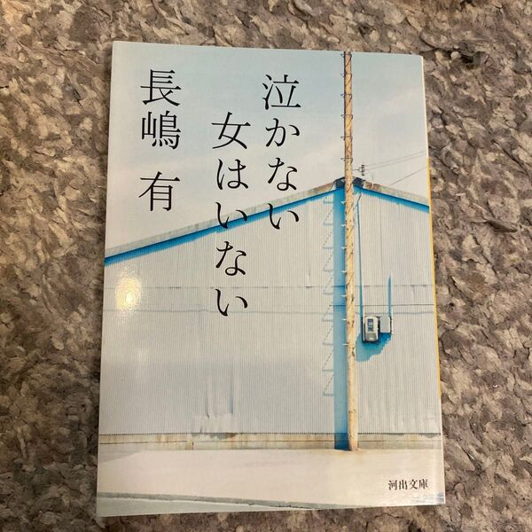 泣かない女はいない (河出文庫 な23-1) 長嶋有/著