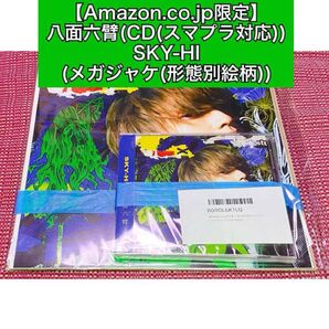【メガジャケ(形態別絵柄)】八面六臂/SKY-HI