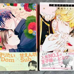 BL漫画 コミック 2冊セット nu 櫻井タイキ