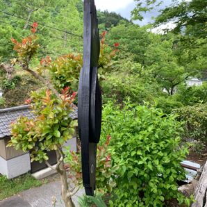 家庭菜園、カラス除け