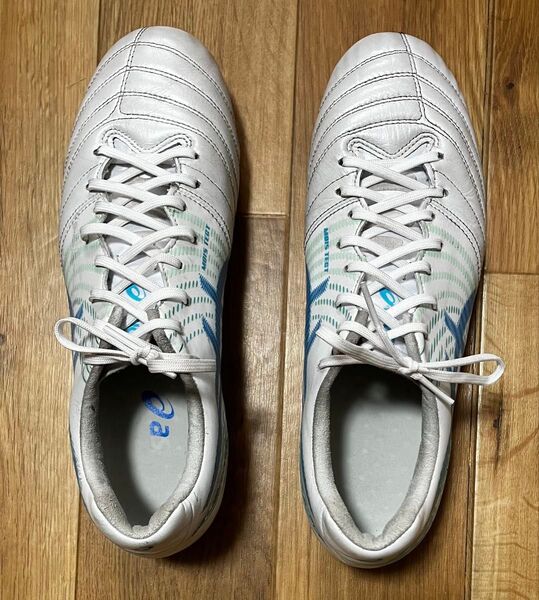 ASICS DS LIGHT X-FLY PRO 2 27.0cm