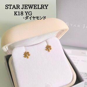 美品 スタージュエリー K18 YG ダイヤモンド 木 ツリー カジュマル ピアス Breath of Tree