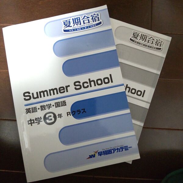 早稲アカ 夏期講習 2019 英語 数学 国語 中学3年 早稲田アカデミー