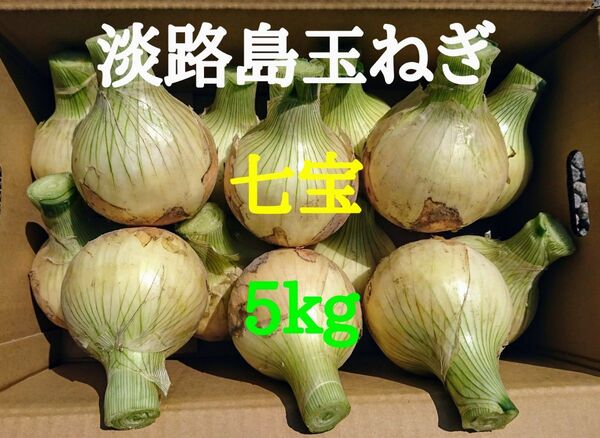 淡路島たまねぎ5kg農家直送南あわじ