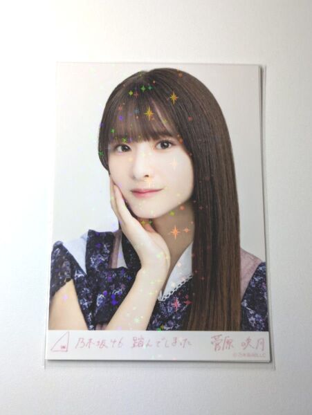 乃木坂46菅原咲月 踏んでしまった 乃木コレ R レア 生写真 1枚