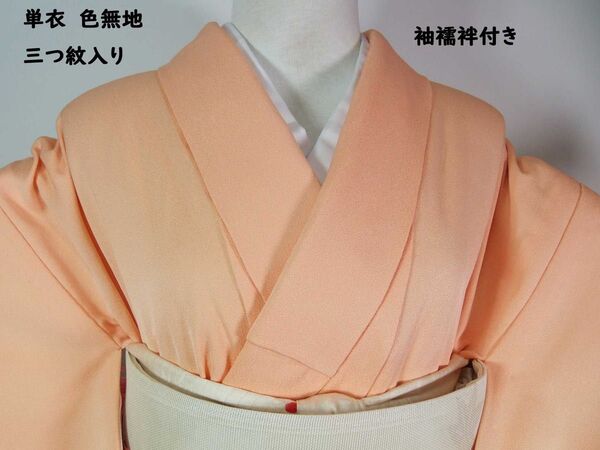 単衣 色無地 三つ紋 丸に橘紋入り 袖襦袢付き 綸子 着物 正絹 香色