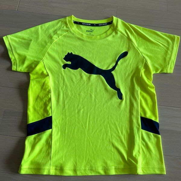 サイズ140 半袖Tシャツ イエロー プラクティスシャツ PUMA プーマ