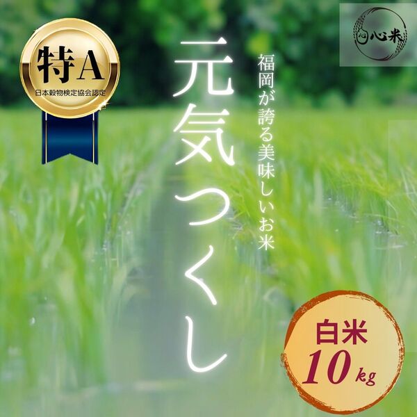 元気つくし 10kg 白米 6年産 お米 おまけつき お得なセット商品