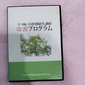 うつ病 自律神経失調症改善プログラム