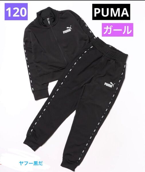 PUMA 120 セットアップ ジャージ上下 120 ガール ヤフー黒だ
