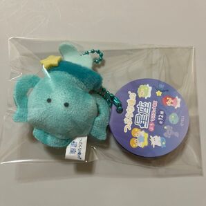 つぶらな瞳のマスコット 星座 みずがめ座