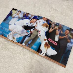 ともに歩んだ奇跡の1年 大谷翔平 & デコピン ピンナップ ポスター 女性自身