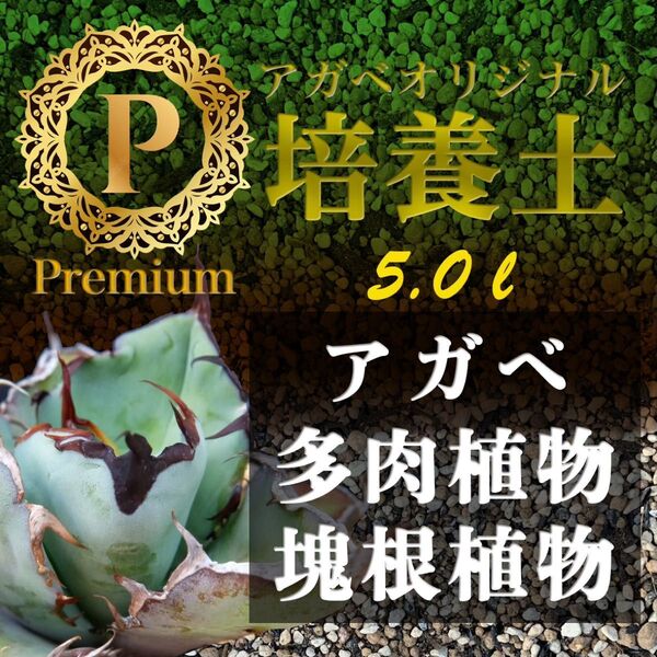 アガベ土☆オリジナル培養土Premium 5㍑(アガベ各種サボテン多肉植物の土)