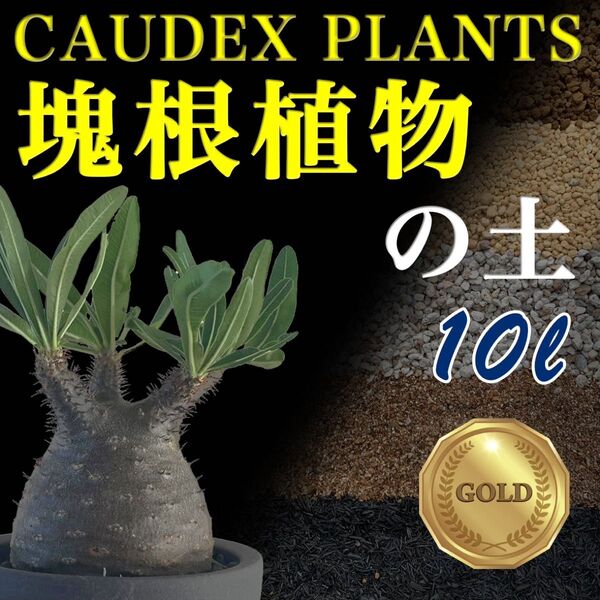塊根植物の土Gold10㍑培養土 パキポディウム・アデニウム等 グラキリス