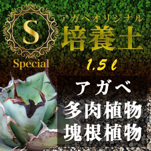 アガベ土☆オリジナル培養土Special1.5㍑(アガベ・多肉・サボテンの土 )