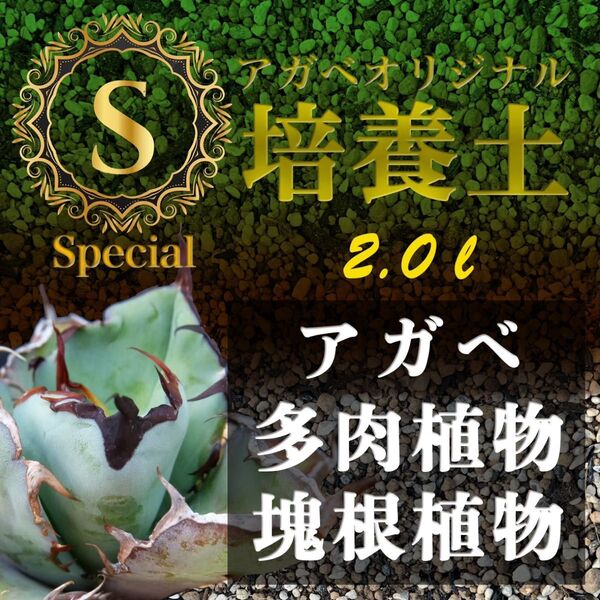 アガベ土☆オリジナル培養土Special 2㍑(アガベ・多肉・サボテンの土 )