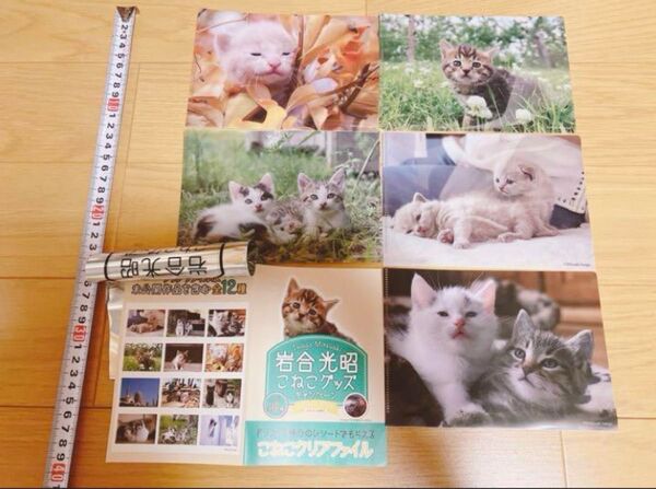 ベローチェ こねこグッズ キャンペーン こねこ クリアファイル5枚 マスクケース