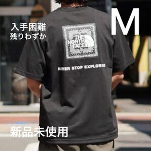 THE NORTH FACE ショートスリーブ バンダナロゴ スクエアロゴ Tシャツ ノースフェイス バックプリント 半袖