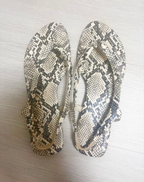 BEAUTY&YOUTH UNITED ARROWS パイソン柄サンダル 36