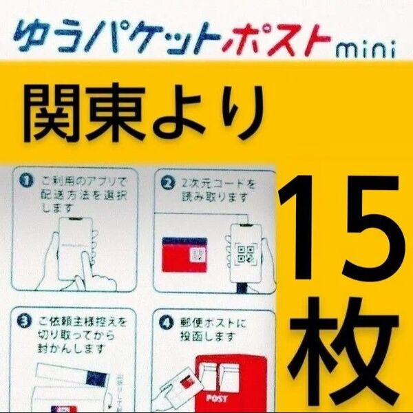 ◎ゆうパケットポストmini封筒15枚/匿名配送料込み◎折り曲げます◎