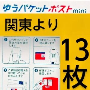 ◎ゆうパケットポストmini封筒13枚/折り曲げます/匿名配送料込み◎