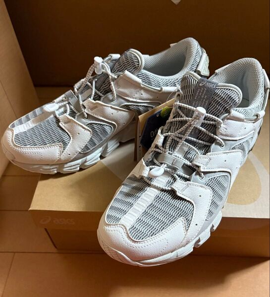asics gel-quantum 180 RE 27.5cm