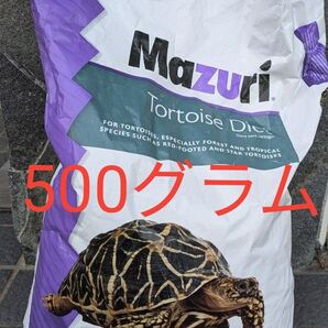 マズリ トータスダイエット 5M21 500グラム+おまけ