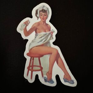 ヴィンテージ レトロ ギター レコード ピンナップガール シンプル デザイン アメリカン ステッカー セクシー