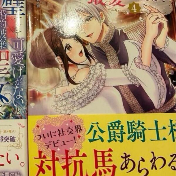 婚約破棄された聖女は隣国に売られる 5巻