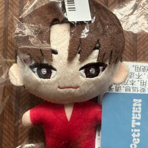 PetiTEEN マスコット SECTOR 17 Vol.4 DINO ディノ ぬいぐるみ SEVENTEEN セブチ SVT