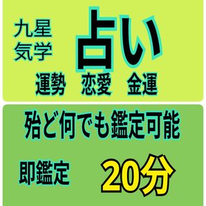 電話占い とって置きの20分
