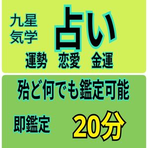 電話占い 20分 初回限定価格