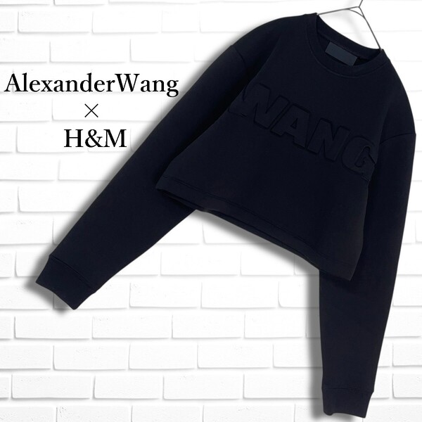 ◆良品◆ AlexanderWang × H&M アレキサンダーワン コラボ 立体 ロゴ スウェット プルオーバー トレーナー 黒 レディース M 4975D□