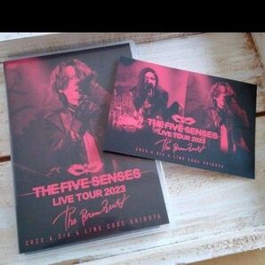 値下げ TheBlowBeat ブロビ 佐藤流司 Ryuji DVD