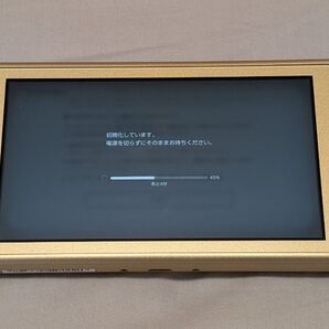 【美品】Nintendo Switch Lite ハイラルエディション