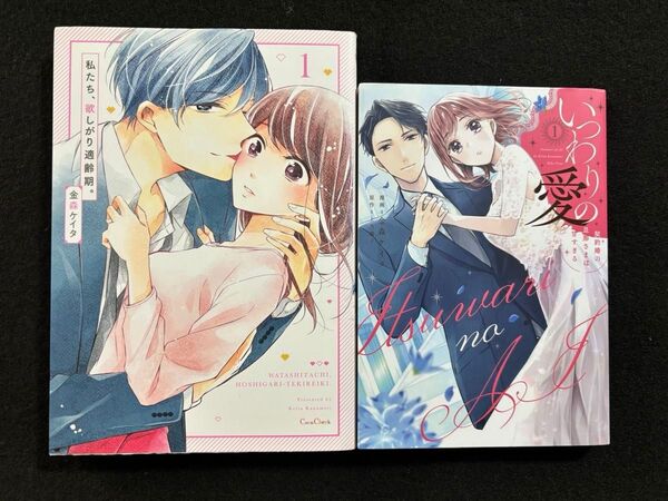 《金森ケイタ》いつわりの愛〜契約婚の旦那さまは甘すぎる〜1巻/私たち、欲しがり適齢期。1巻 2冊セット