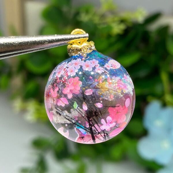 No.225 桜 青空 春 電柱
