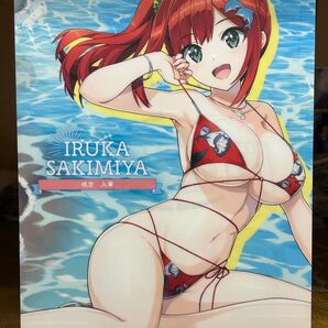 ドルフィンウェーブ クリアファイル 咲宮入華 水着 C105 コミックマーケット