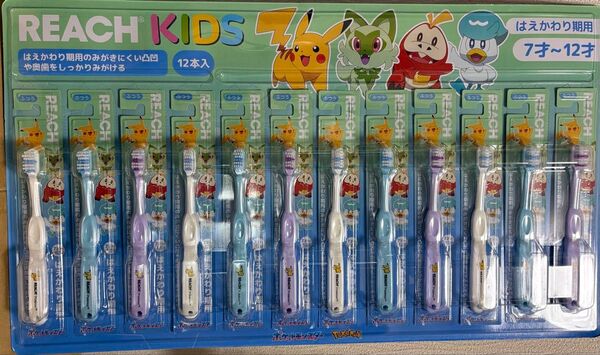 REACH ポケモン歯ブラシ 7〜12才 はえかわり期用 12本