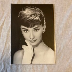 オードリー・ヘップバーン ポートレート写真・ポストカード