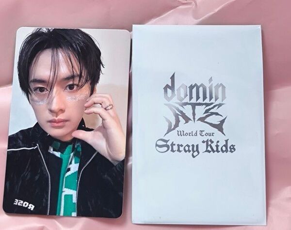 Stray Kids スキズ リノ 特典トレカ