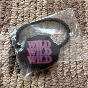 【過去物】EXILE THE SECOND WILDWILDWILD ガチャ ヘアゴム