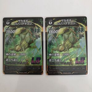 新品 蟲神器 LR サカダチコノハナナフシ2枚組 ダイソー