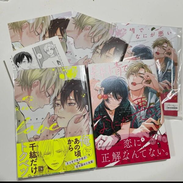 カタコイシーソー / 宮田トヲル ※小冊子2点、ペーパー付き。 純情でなにが悪い 冬縞しぐれ ※小冊子付き。