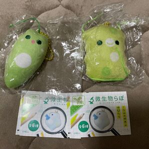 微生物らぼ ガチャガチャ
