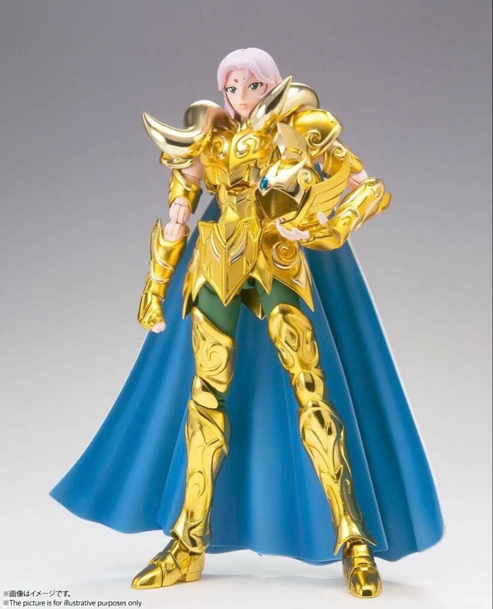 聖闘士聖衣神話EX 星矢 紫龍 氷河 瞬 一輝 私服 5衣類セット 聖闘士聖衣神話EX 星矢 紫龍 氷河 瞬 一輝 私服 5衣類セット