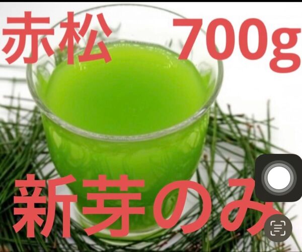 無農薬 赤松の葉 野菜 岡山県産 即日発送 即購入可能