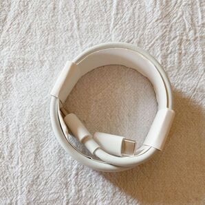 USB Type C ケーブル タイプc ケーブル 急速充電充電ケーブル iPhone ライトニングケーブル タイプC 充電器