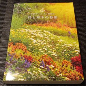 世界でいちばん素敵な花と草木の教室 遠藤芳文/企画文 稲垣栄洋/監修